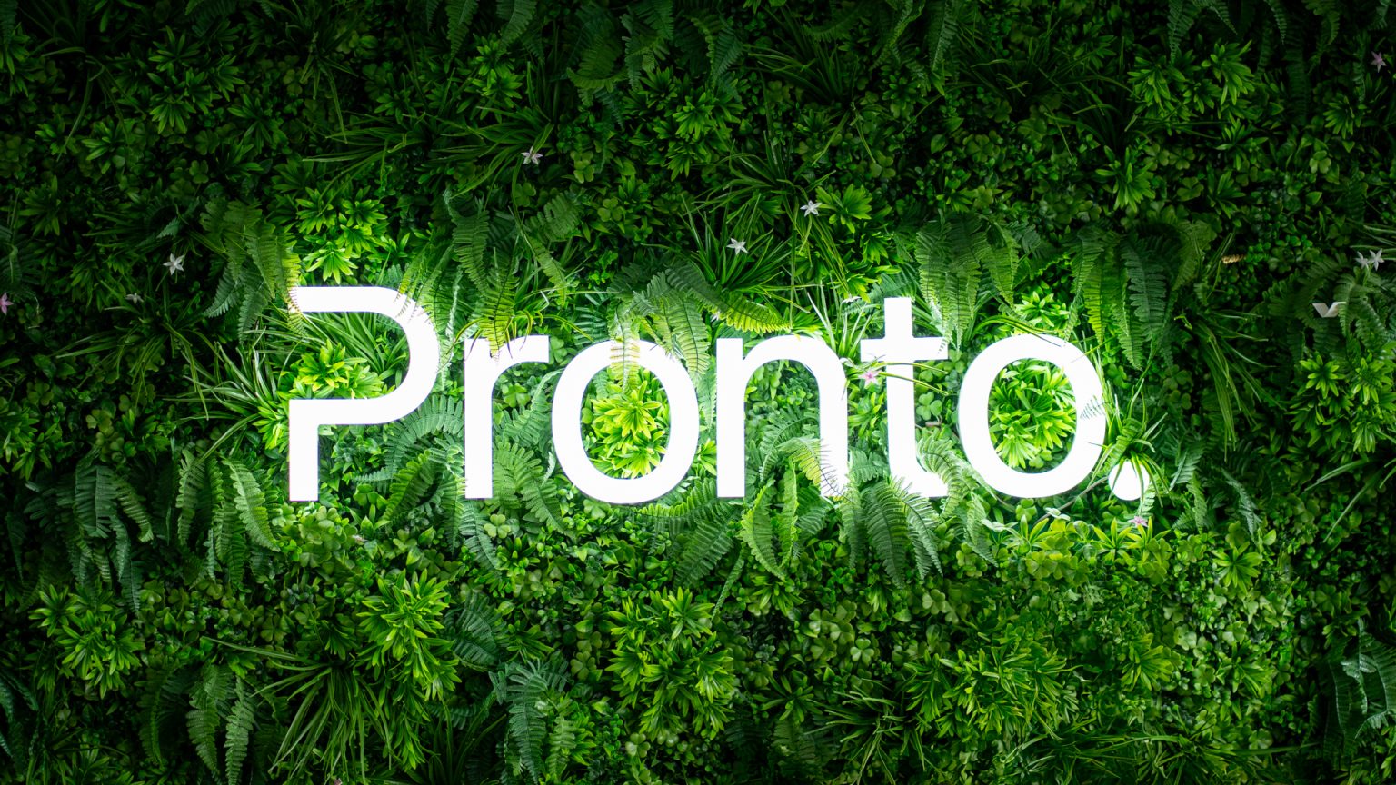 The Pronto sign on the living wall at our Wirral office