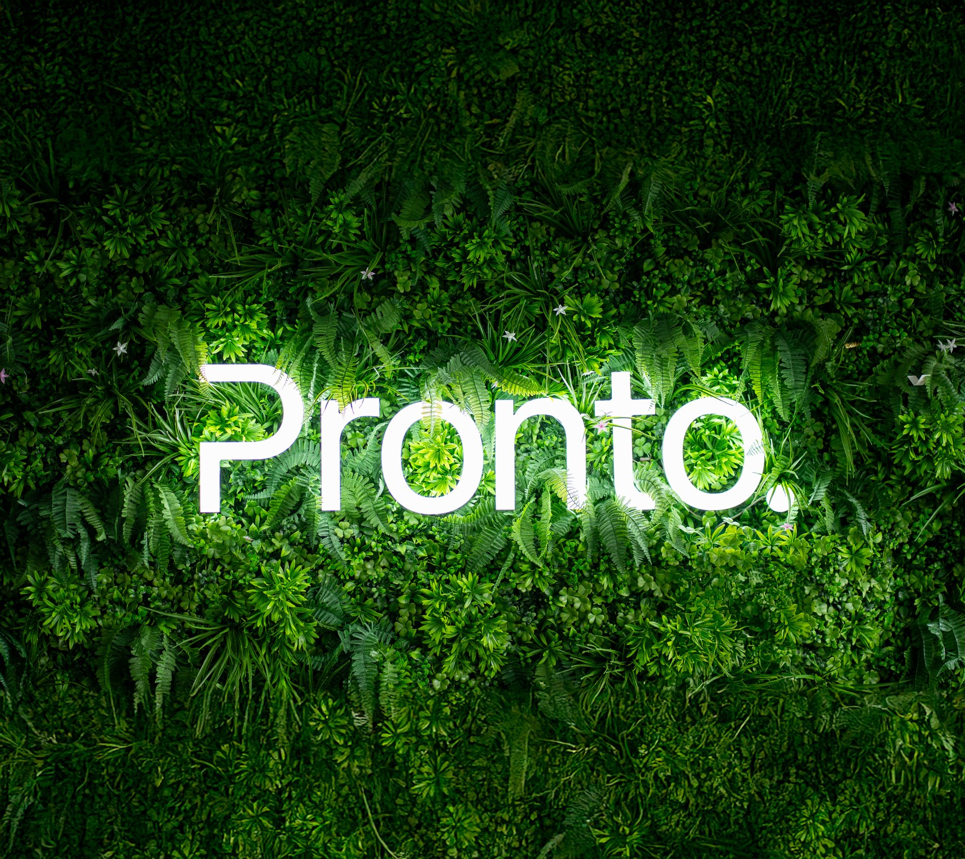 The Lead Pronto office