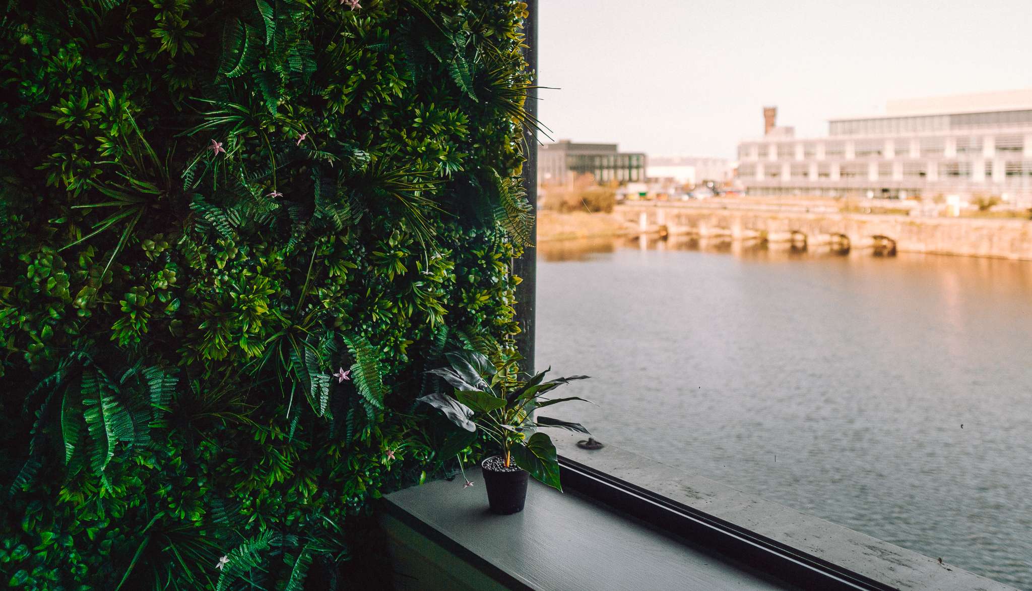 The Lead Pronto office overlooking the river